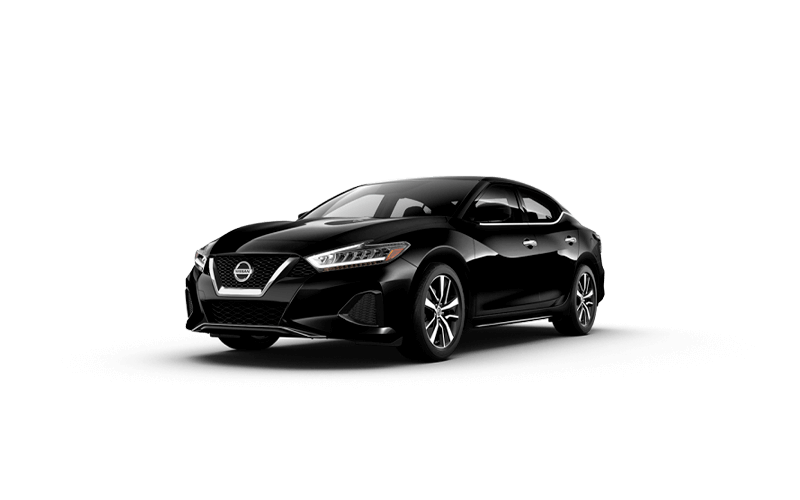 maxima